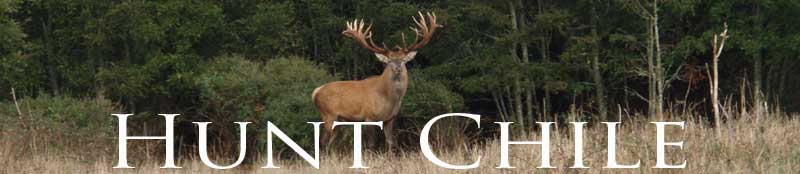 HuntChile banner