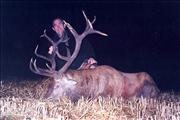 harwell