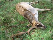 IMG_1439_0132